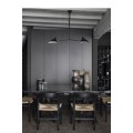 Serge Mouille Ceiling Light with 2 fixed arms