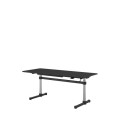 Desk stand up sit down USM Kitos M 175 x 75 cm