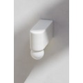 White Porcelain Series D2