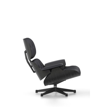 Lounge Chair